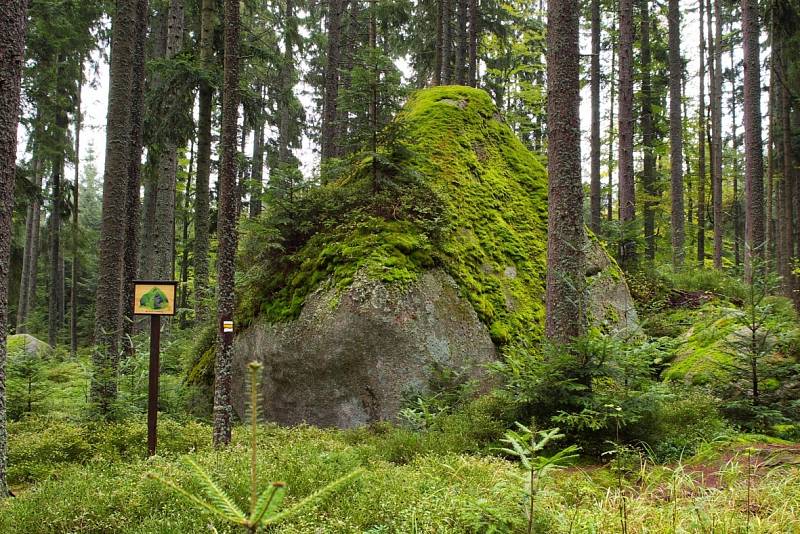 Magická Šumava. Zkuste si test, jak dobře znáte krásy úžasného národního parku.