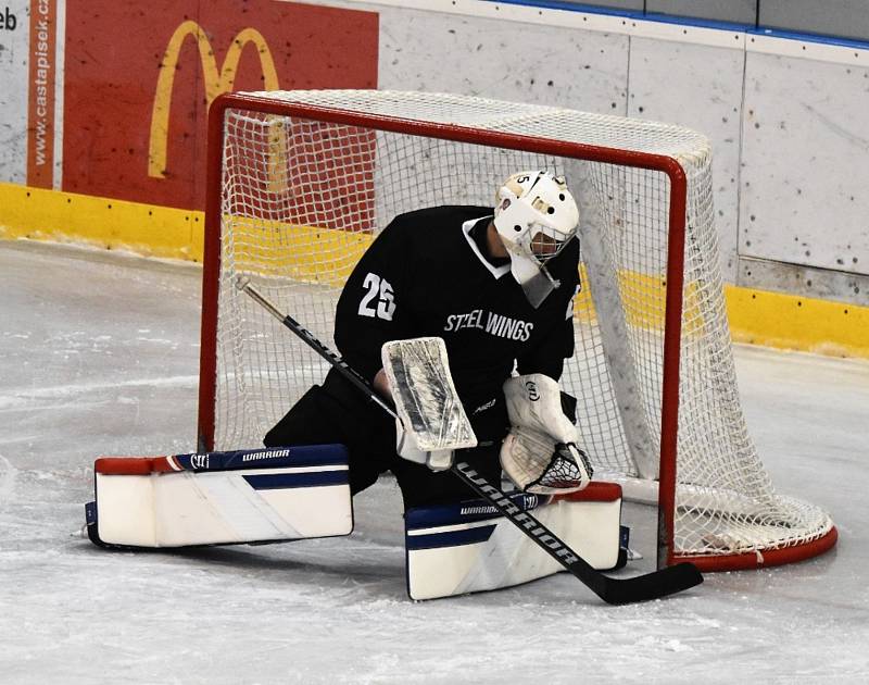 Přípravný hokej: IHC Písek - Steinbach Steel Wings Linz 4:3sn (2:1, 1:1, 0:1). Foto: Jan Škrle