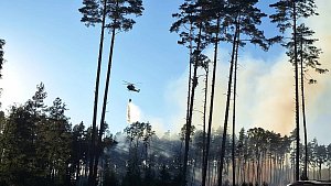 Loňský požár lesa u Jetětic na Písecku si vyžádal vzhledem ke svému rozsahu ˇvyhlášení 4. stupně požárního poplachu. 