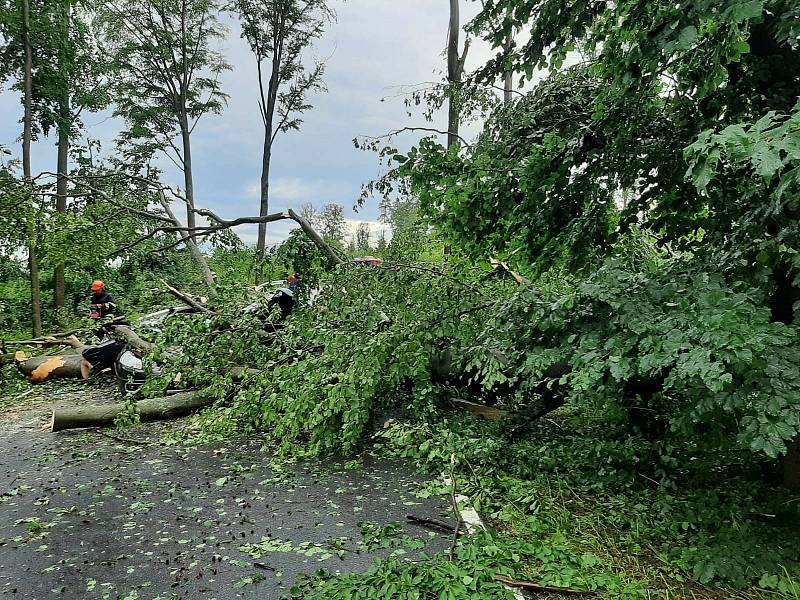 U Čížové na Písecku zabil spadlý strom dva lidi v autě.