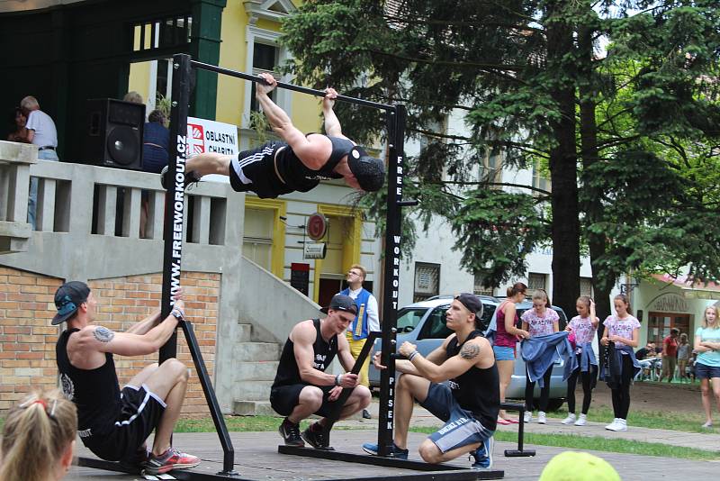 Slavnosti letnice v Palackého sadech v Písku.