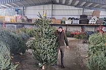 Burdovi ze Sepekova na Písecku nabízí vánoční stromky z vlastní školky a kapry ze svých rybníků.