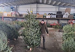 Burdovi ze Sepekova na Písecku nabízí vánoční stromky z vlastní školky a kapry ze svých rybníků.