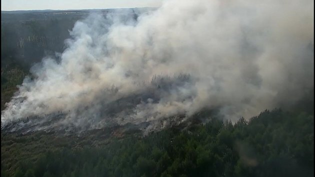 Požár lesa u Jetětic na Písecku, v sobotu navečer hořelo přes 30 hektarů lesa.