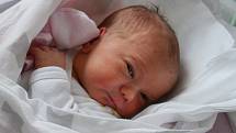 Nina Čáslavová z Dolního Ostrovce. Prvorozená dcera Kateřiny Čáslavové a Zdeňka Krejčího se narodila 25. 12. 2019 v 5.20 hodin. Při narození vážila 2950 g a měřila 47 cm.
