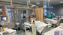 Nejtěžší případy covidových pacientů v písecké nemocnici.
