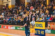 Basketbalisté Ostravy prohráli v nedělním utkání 7. kola nadstavby NBL v Písku 93:96.