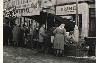Prodej kaprů před téměř 60 lety na Velkém náměstí.
