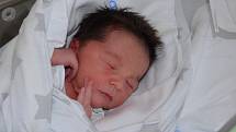 Diviš Hanzlík z Písku. Syn Elišky a Davida Hanzlíkových se narodil 28. 12. 2019 v 18.51 hodin. Při narození vážil 3750 g a měřil 52 cm. Doma se na brášku těšila Apolenka (1).