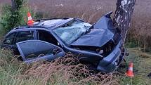 Vážná dopravní nehoda u Selibova na Písecku. Při nárazu auta do stromu se vážně zranila řidička.