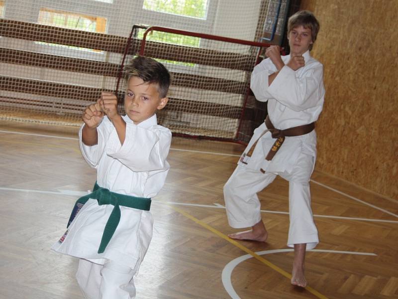 Ukázka SKP karate Písek na ZŠ J. K. Tyla Písek.