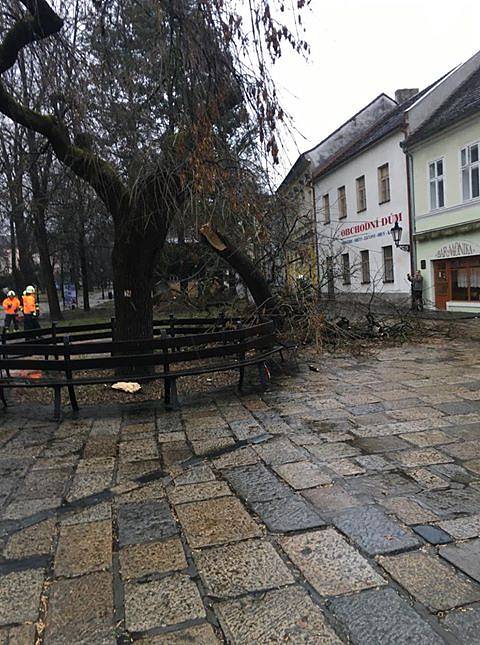 V důsledku orkánu Sabine se poroučel k zemi strom v Palackého sadech v Písku.