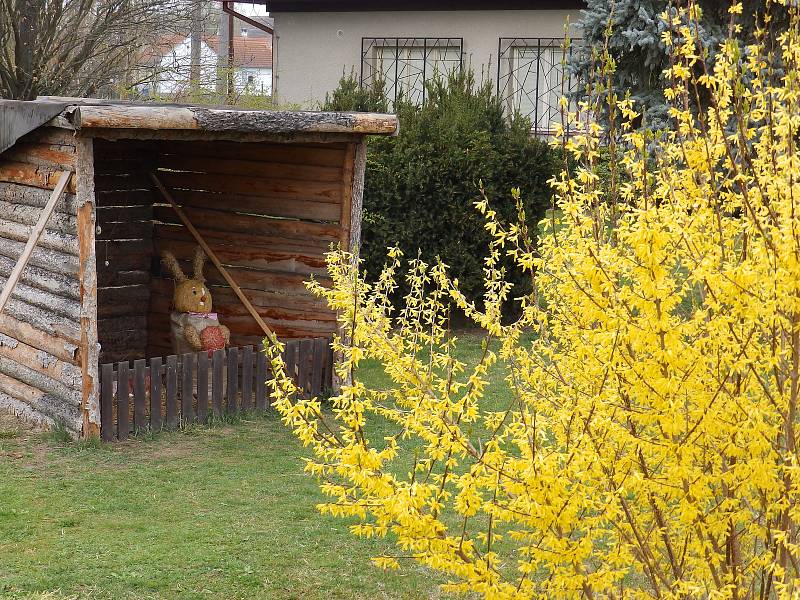 Přípravy na Velikonoce v Oslově.