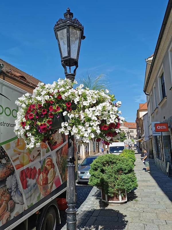 Písecké ulice a parky letos rozkvetly do krásy. Městské služby s odborem životního prostředí zrealizovaly výsadbu liliových luk i osazení různých druhů květináčů v centru.