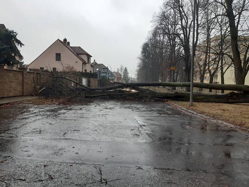 Následky silného větru na Písecku.