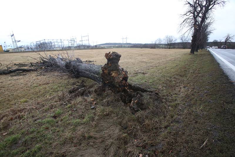 Vichřice vyvracela stromy. Na mnoha místech to zkomplikovalo i dopravu. Snímek je z Chraštic.