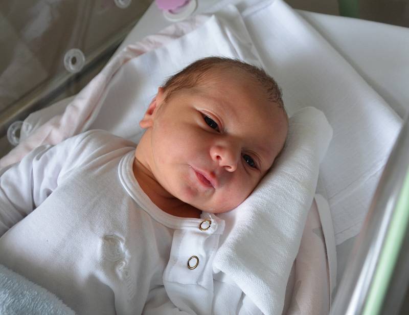 František Hrdlička z Modré Hůrky. Prvorozený syn Ivy a Tomáše Hrdličkových se narodil 24. 9. 2019 v 10.08 hodin. Při narození vážil 3750 g a měřil 52 cm.