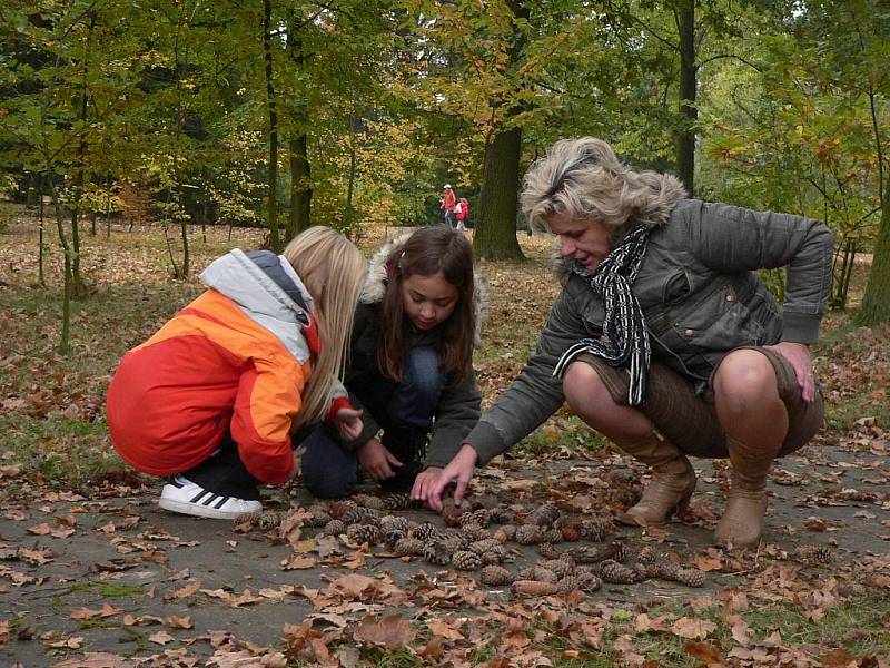 Den stromů v arboretu Střední lesnické školy v Písku. 