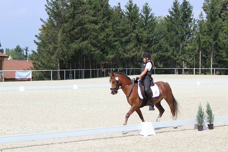 Mistrovství ČR Working Equitation v píseckém hřebčinci.