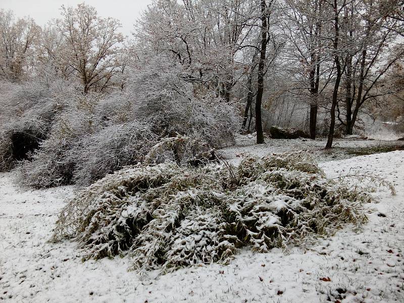 Ráno ve středu 13. listopadu na Kovářovsku.