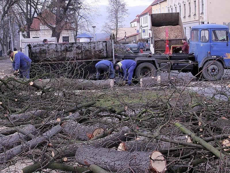 Kaštanová alej, v průběhu kácení.