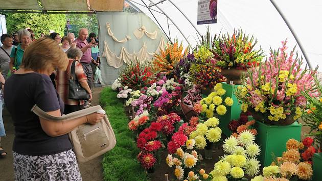 Výstava květin v Čimelicích. Ilustrační foto.