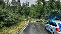 U Čížové na Písecku zabil spadlý strom dva lidi v autě.