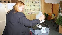 Volby do Evropského parlamentu v Čížové.