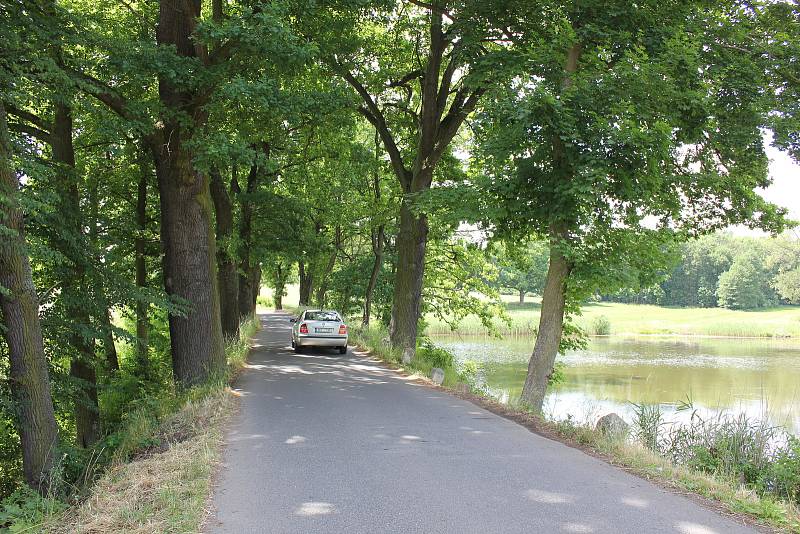 Silnice u rybníka Bochce u Kožlí u Orlíku.