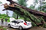 V Čížové na Písecku spadl při bouřce strom na auto.