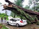 V Čížové na Písecku spadl při bouřce strom na auto.