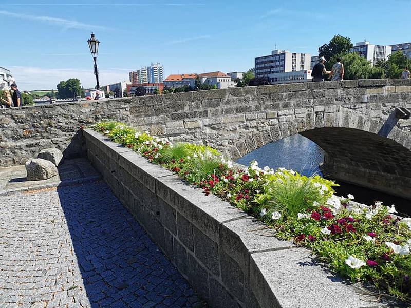 Písecké ulice a parky letos rozkvetly do krásy. Městské služby s odborem životního prostředí zrealizovaly výsadbu liliových luk i osazení různých druhů květináčů v centru.