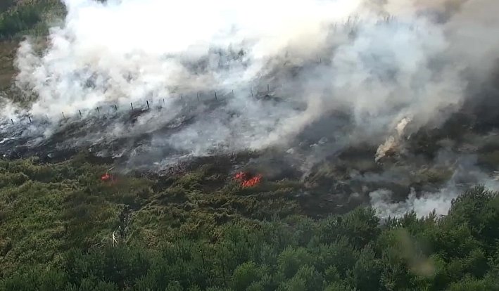 Požár lesa u Jetětic