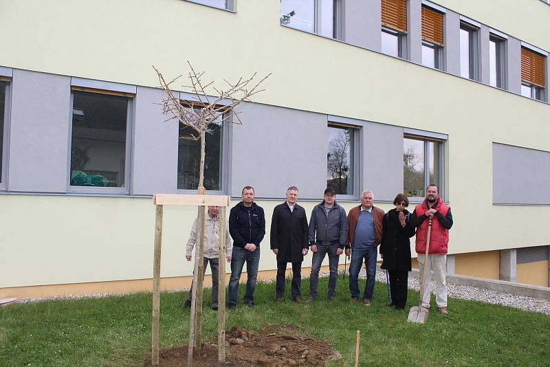 Rotariáni poděkovali vysazením stromu lékařům a sestrám za péči v době covidu.