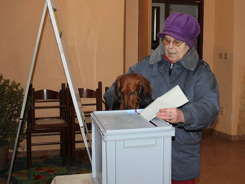 Volby ve Zvíkovském Podhradí.