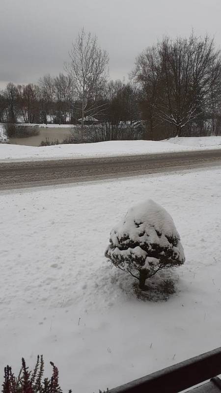 Sníh 8. 2. 2021 v Jehnědnu na Písecku.