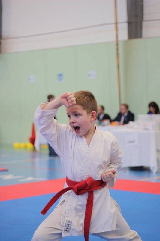 Druhé kolo dětské ligy v karate.