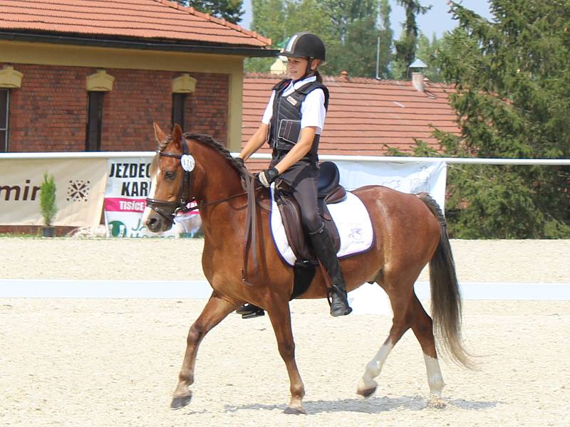 Mistrovství ČR Working Equitation v píseckém hřebčinci.