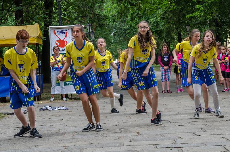 Slavnostní zahájení Sportovních her mládeže 2017 v Písku.
