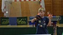Mezinárodní kemp mladých stolních tenistů ve Vimperku.