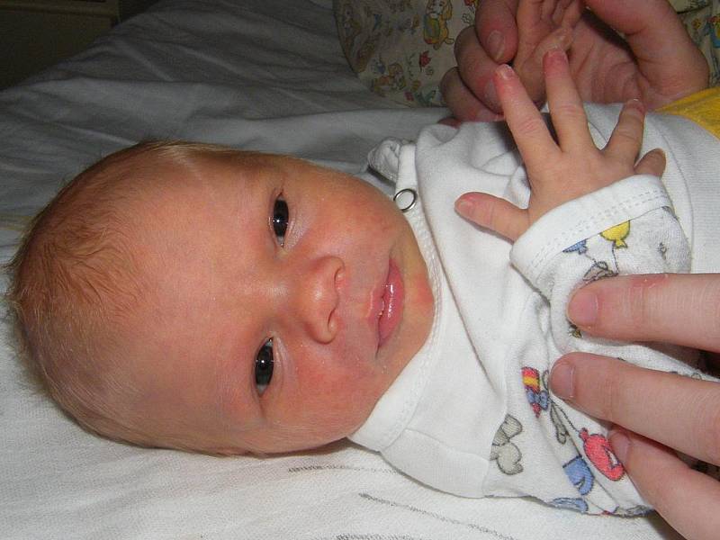 Tereza Jedličková se v prachatické porodnici narodila 15. listopadu v 03.35 hodin, vážila 2900 gramů a měřila 47 centimetrů. Maminka Eva Jedličková je z Vimperka.