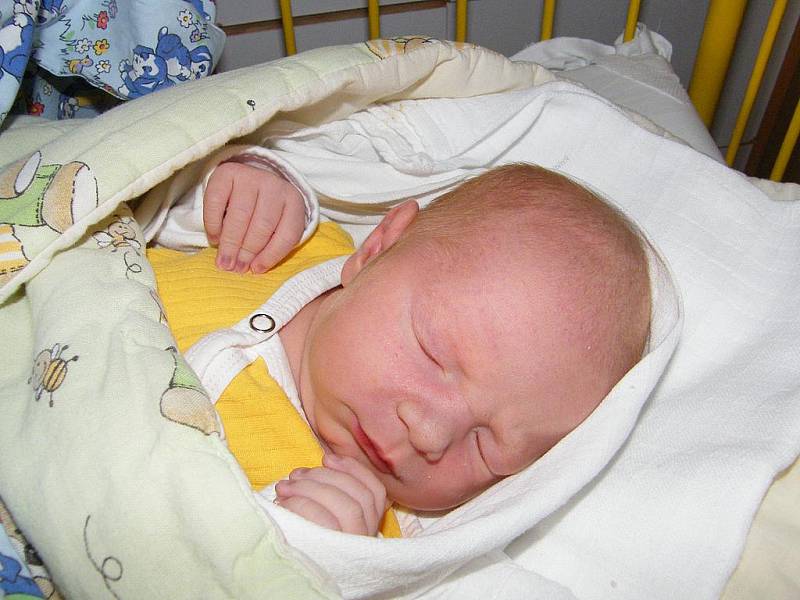 Marek Pokorný se v prachatické porodnici narodil 14. listopadu 2011 v 01.05 hodin, vážil 3760 gramů a měřil 51 centimetrů. Rodiče Jindřiška Koutná a Marek Pokorný jsou z Prachatic.