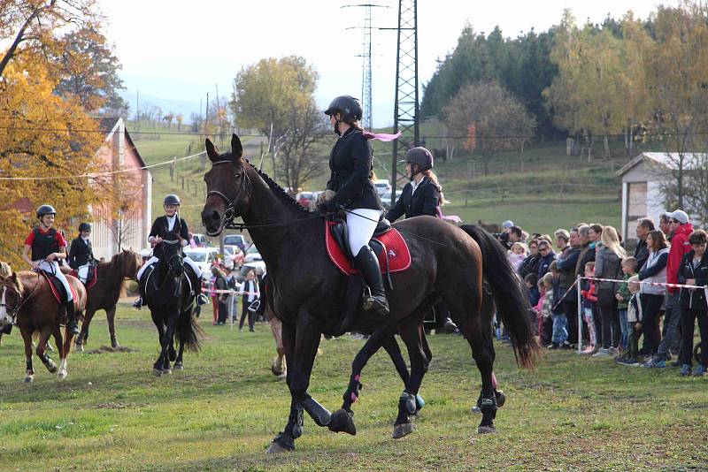 Hubertova jízda 2019 na zámku Skalice v Bohumilicích. Foto: Deník/Nikola Beranová