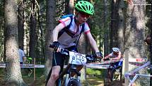 Bikeři zdolávali 21. Šumavský MTB maraton. Foto: Zdeněk Formánek