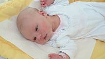 Ve Vimperku bude se svými rodiči bydlet Tereza Pechlátová, která se narodila v úterý 29. srpna ve 14 hodin a 23 minut ve strakonické porodnici. Holčička po narození vážila 3290 gramů.
