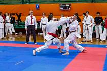 Závodníci Karatedo klubu Tsunami Prachatice předvedli na MČR výborné výkony.