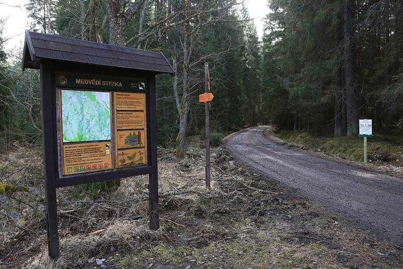 Správa NP Šumava uzavřela dvě turistické trasy. Důvodem je trvající zpracovávání polomového dříví po větrných bouřích z loňského roku.