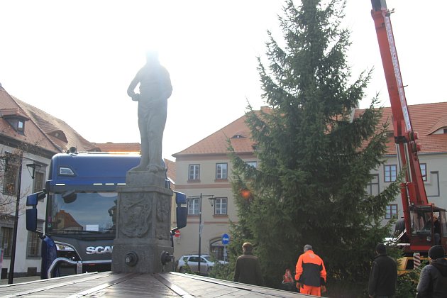 Prachatice mají vánoční strom. V pátek 19. listopadu ho na Velké náměstí nainstalovali zaměstnanci Městských lesů Prachatice.
