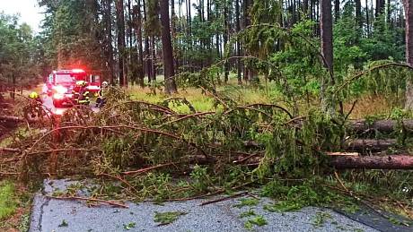 Bouřka 28. 6. 2022. Hasiči z Netolic odstraňovali spadlý strom přes silnici.