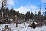 Vstup do lesů na Lenorsku je nebezpečný. Správci Národního parku Šumava proto vydali zákaz. Musejí odklidit vichřicí popadané stromy.